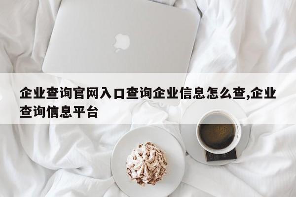 企业查询官网入口查询企业信息怎么查,企业查询信息平台