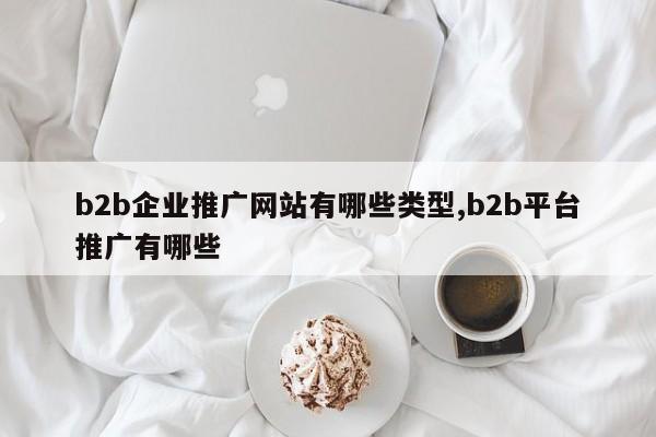b2b企业推广网站有哪些类型,b2b平台推广有哪些
