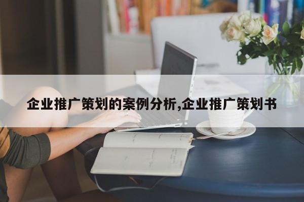 企业推广策划的案例分析,企业推广策划书