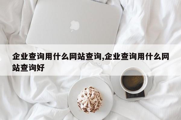 企业查询用什么网站查询,企业查询用什么网站查询好